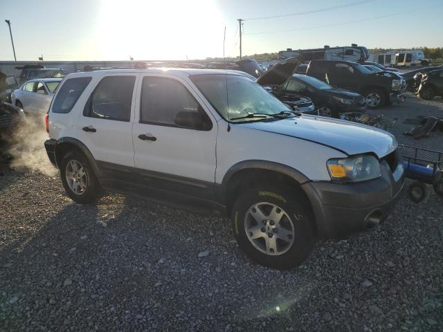 2005 FORD ESCAPE XLT - Other View