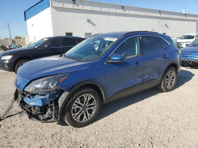 Global Auto Auctions: 2022 FORD ESCAPE SEL