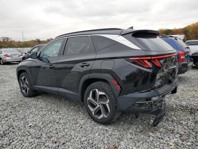 2024 HYUNDAI TUCSON SEL #3305323321