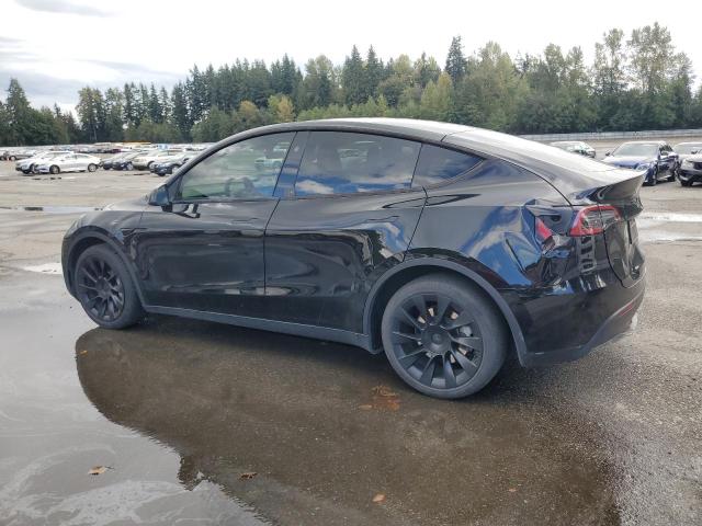 2023 TESLA MODEL Y #3317061023