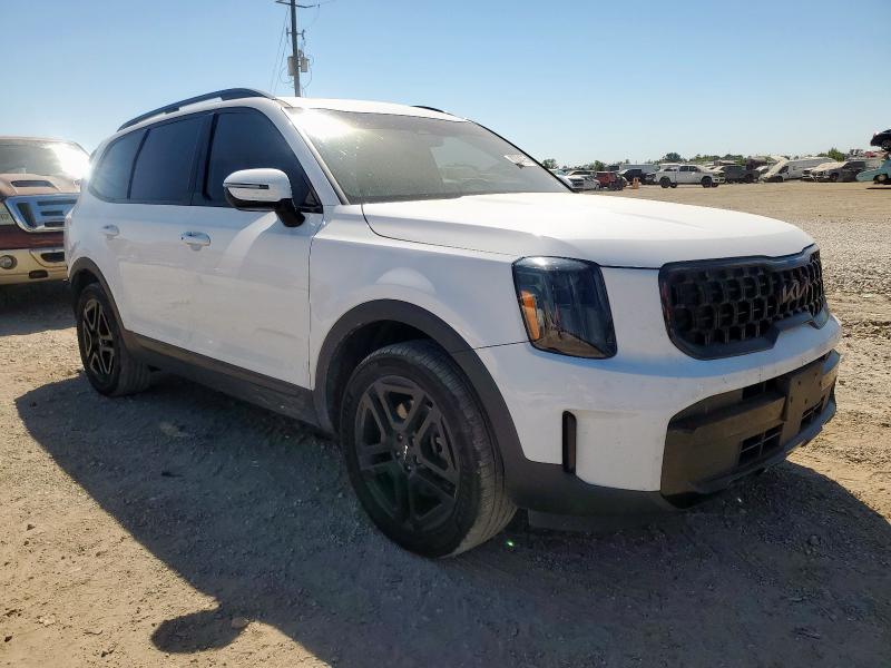 2024 KIA TELLURIDE EX #3316178889