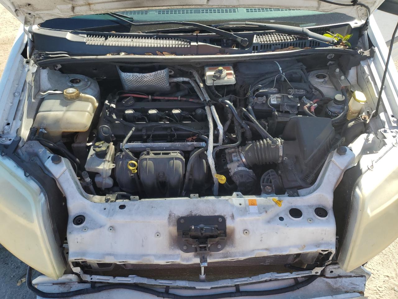 FORD TRANSIT CONNECT XLT