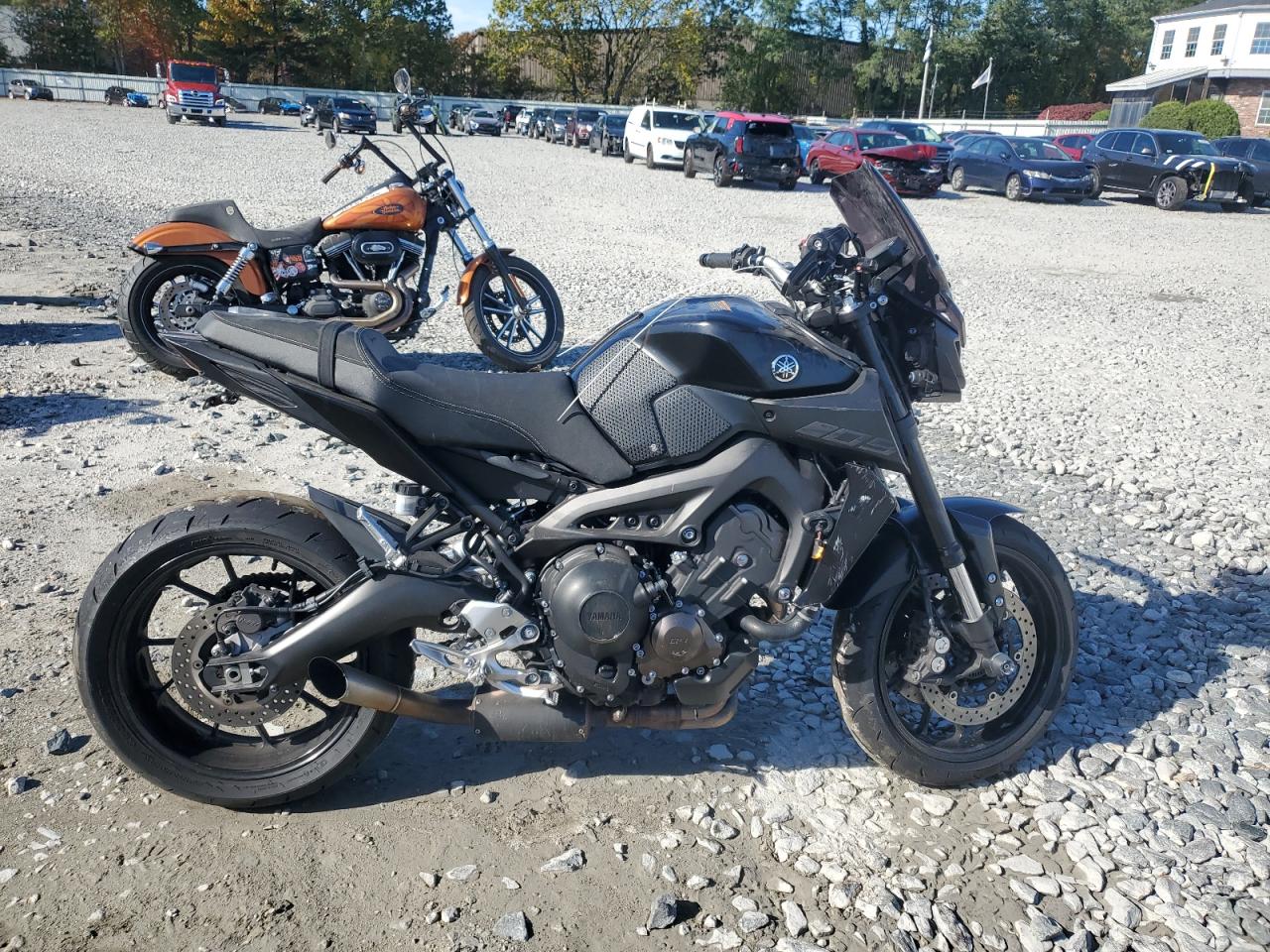 Lot #3270852415 2019 YAMAHA MT09