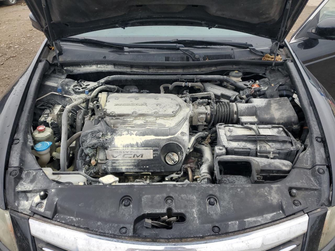 HONDA ACCORD EXL