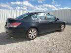 Lot #3304633939 2009 HONDA ACCORD EXL