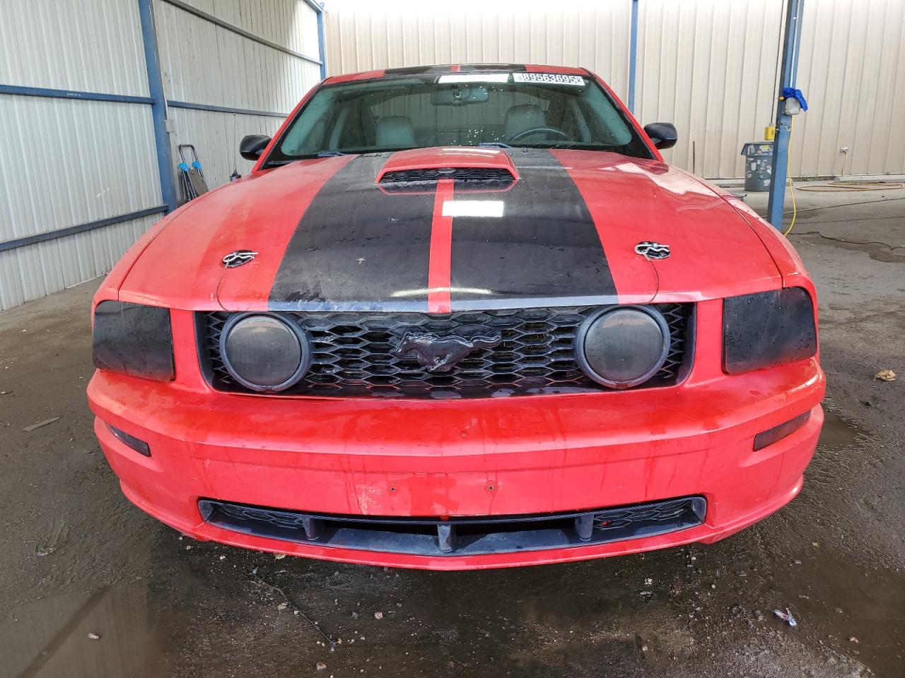 Lot #3311501232 2008 FORD MUSTANG GT