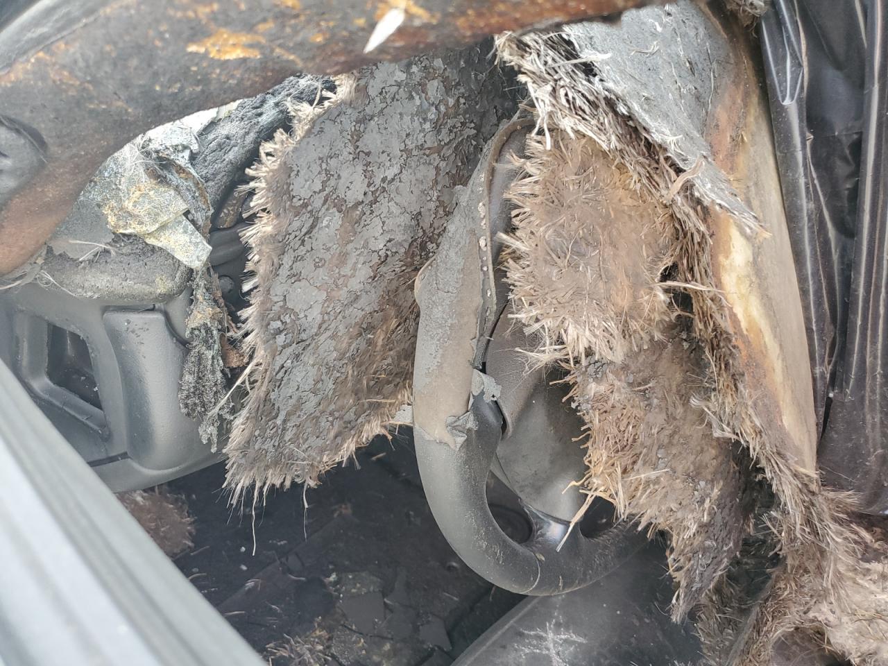 Lot #3290327946 2003 CHEVROLET CORVETTE Z06