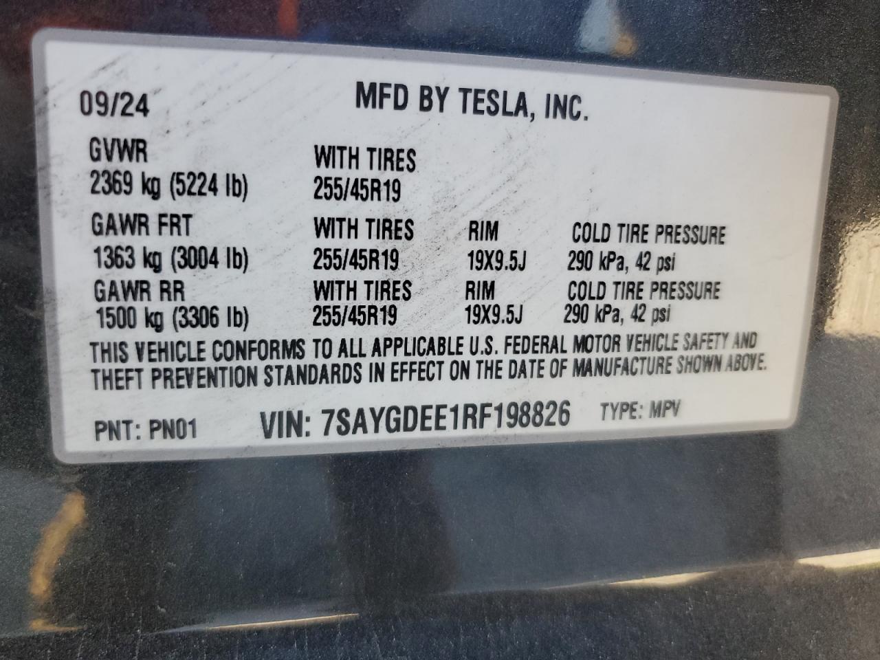 TESLA MODEL Y