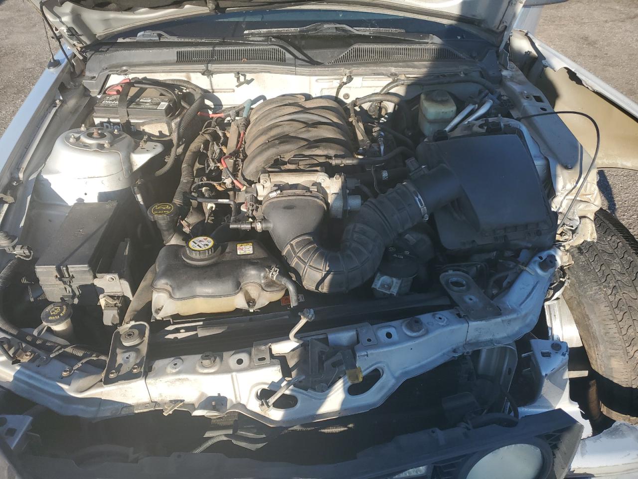 Lot #3285568285 2005 FORD MUSTANG GT