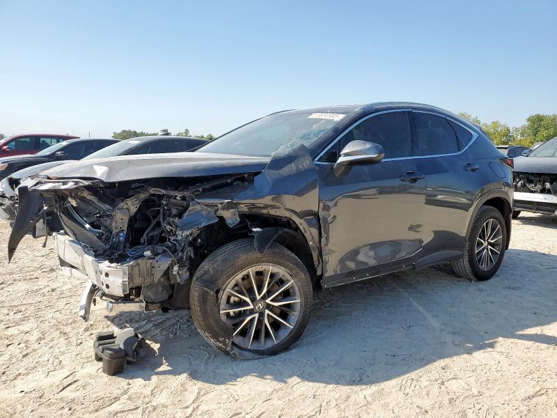 2025 LEXUS NX 250 BAS 2T2ADCAZ1SC025498