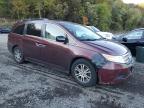 Lot #3293441420 2011 HONDA ODYSSEY EX