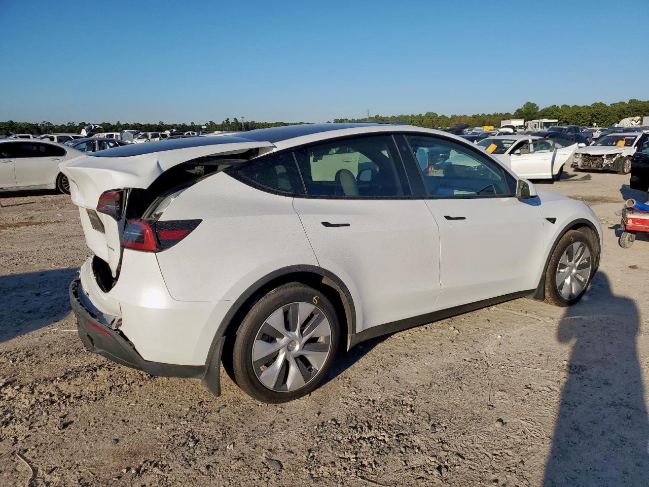 Lot #3304817542 2023 TESLA MODEL Y