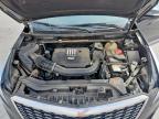 Lot #3320244140 2023 CADILLAC XT5 LUXURY