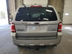 Lot #3303736425 2009 FORD ESCAPE XLT