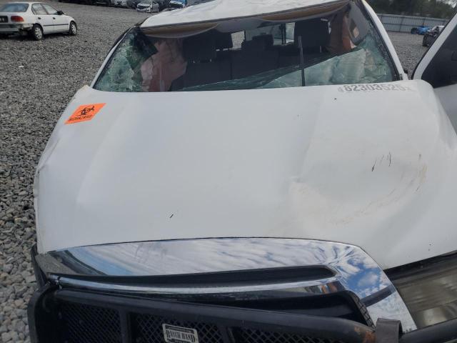 2010 TOYOTA TUNDRA DOU - 5TFRM5F10AX013199