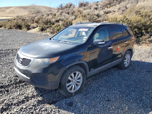 Global Auto Auctions: 2011 KIA SORENTO BA