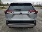 Lot #3301609654 2024 TOYOTA RAV4 XSE