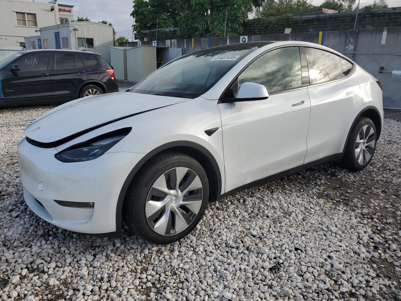 Lot #3309352977 2023 TESLA MODEL Y