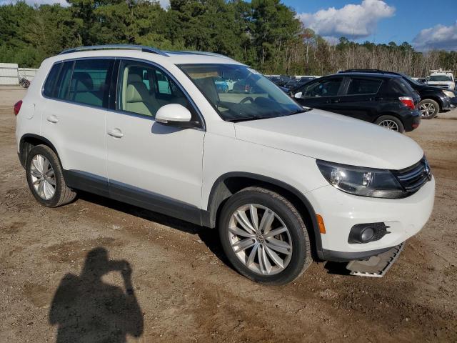2015 VOLKSWAGEN TIGUAN S - WVGAV7AX3FW582994