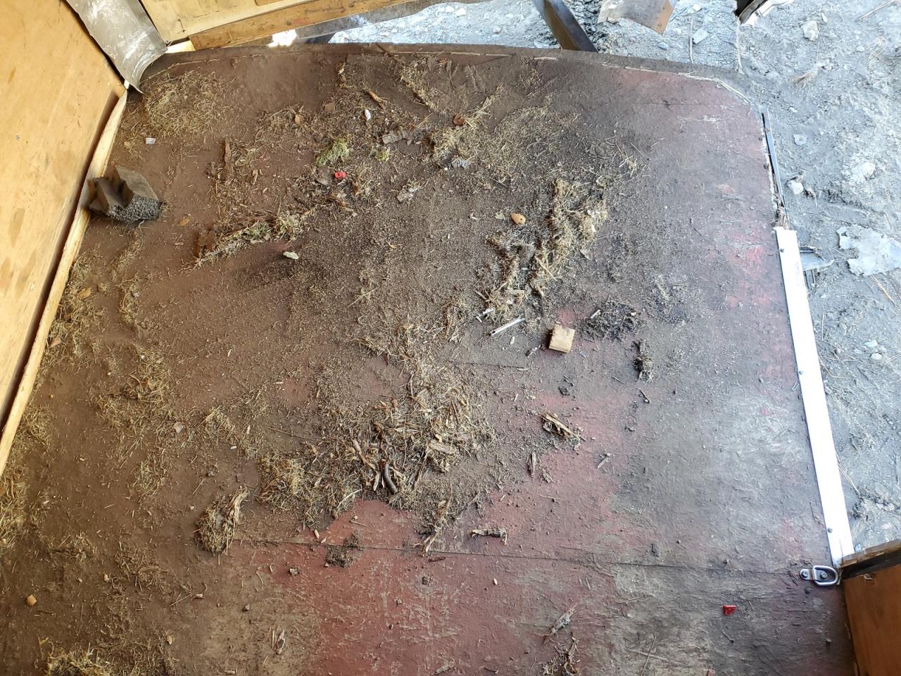 Lot #3305396299 2015 BRAVO UNKNOWN