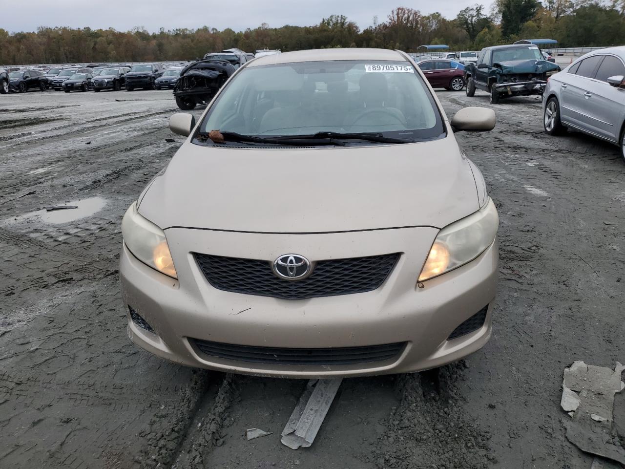Lot #3291253975 2009 TOYOTA COROLLA BA