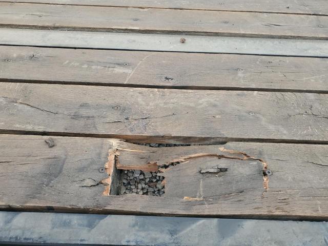 2024 KAUFMAN TRAILER #3278608935