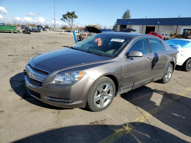Global Auto Auctions: 2010 CHEVROLET MALIBU 1LT