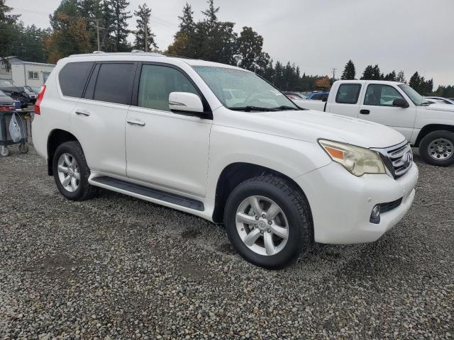 2011 LEXUS GX 460 #3276397807