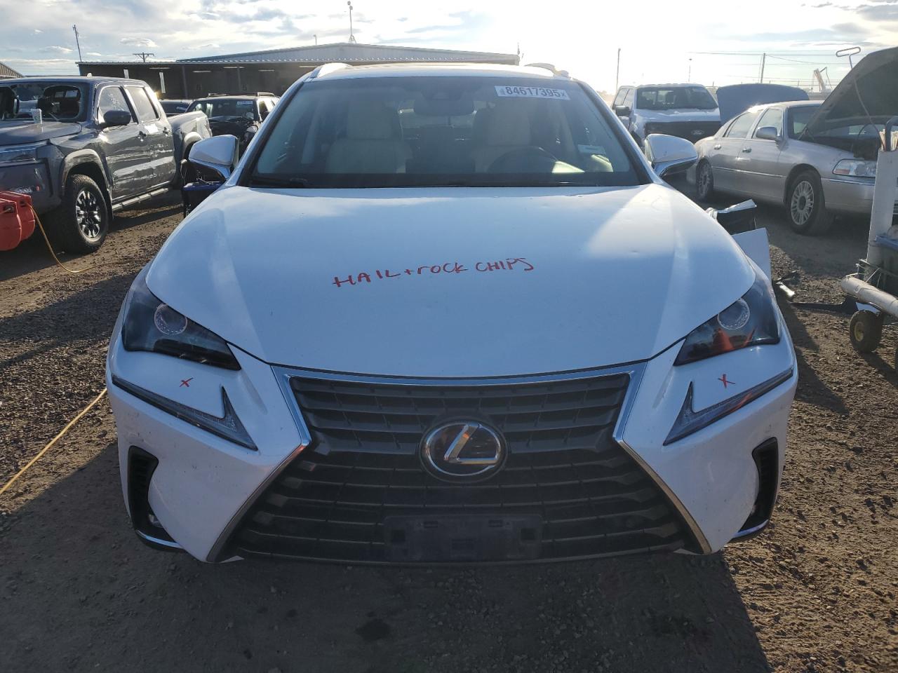 LEXUS NX 300H
