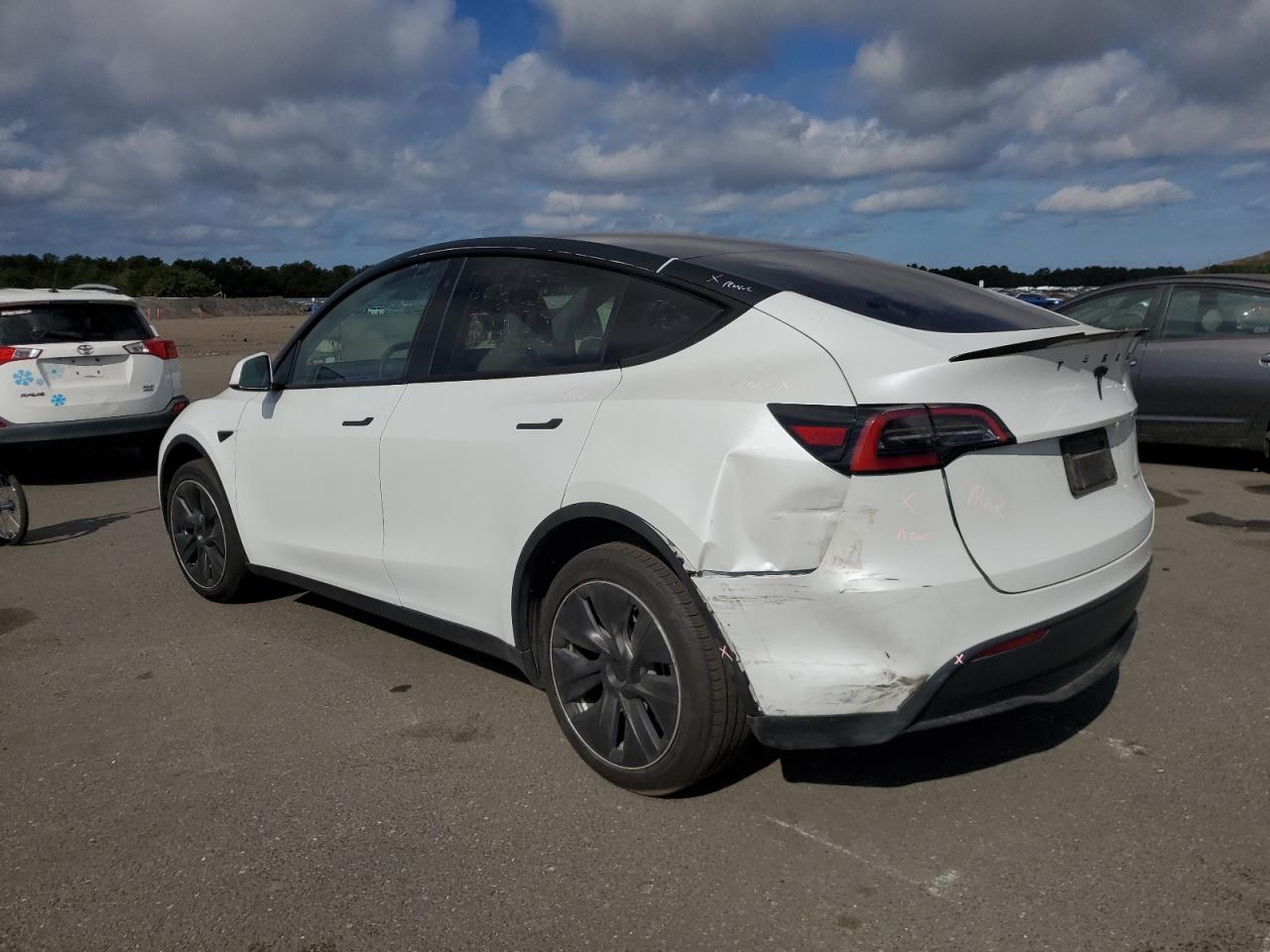 Lot #3312270779 2023 TESLA MODEL Y