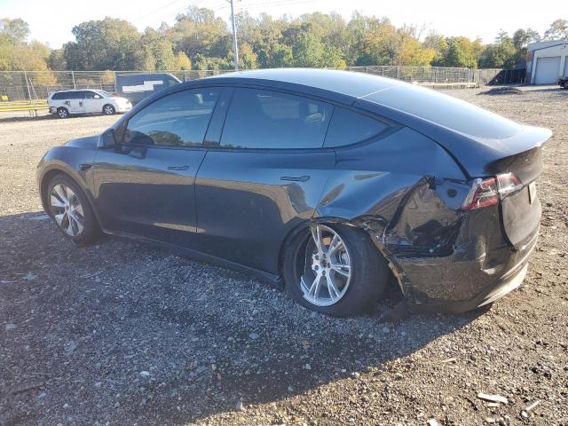 2024 TESLA MODEL Y 7SAYGDED5RF008081