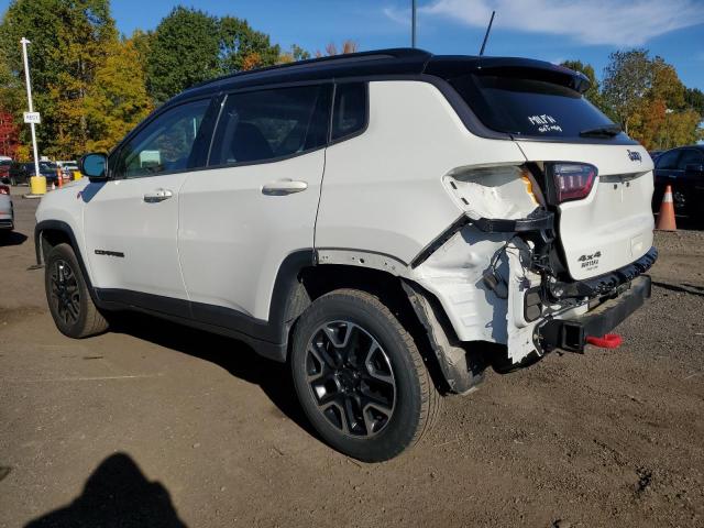 2019 JEEP COMPASS TR 3C4NJDDB1KT775984