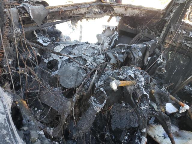 2019 PETERBILT 389 #3290297242