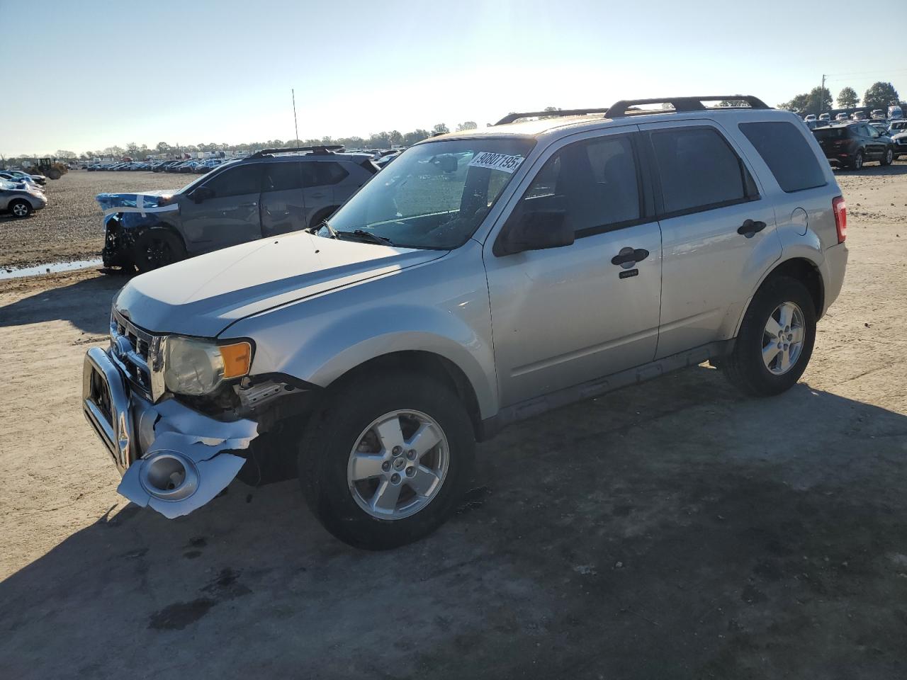 Lot #3283865417 2010 FORD ESCAPE XLT