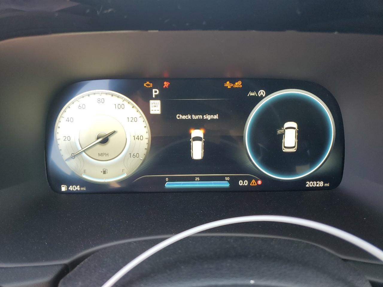 HYUNDAI PALISADE CALLIGRAPHY