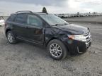 Lot #3301957419 2014 FORD EDGE SEL