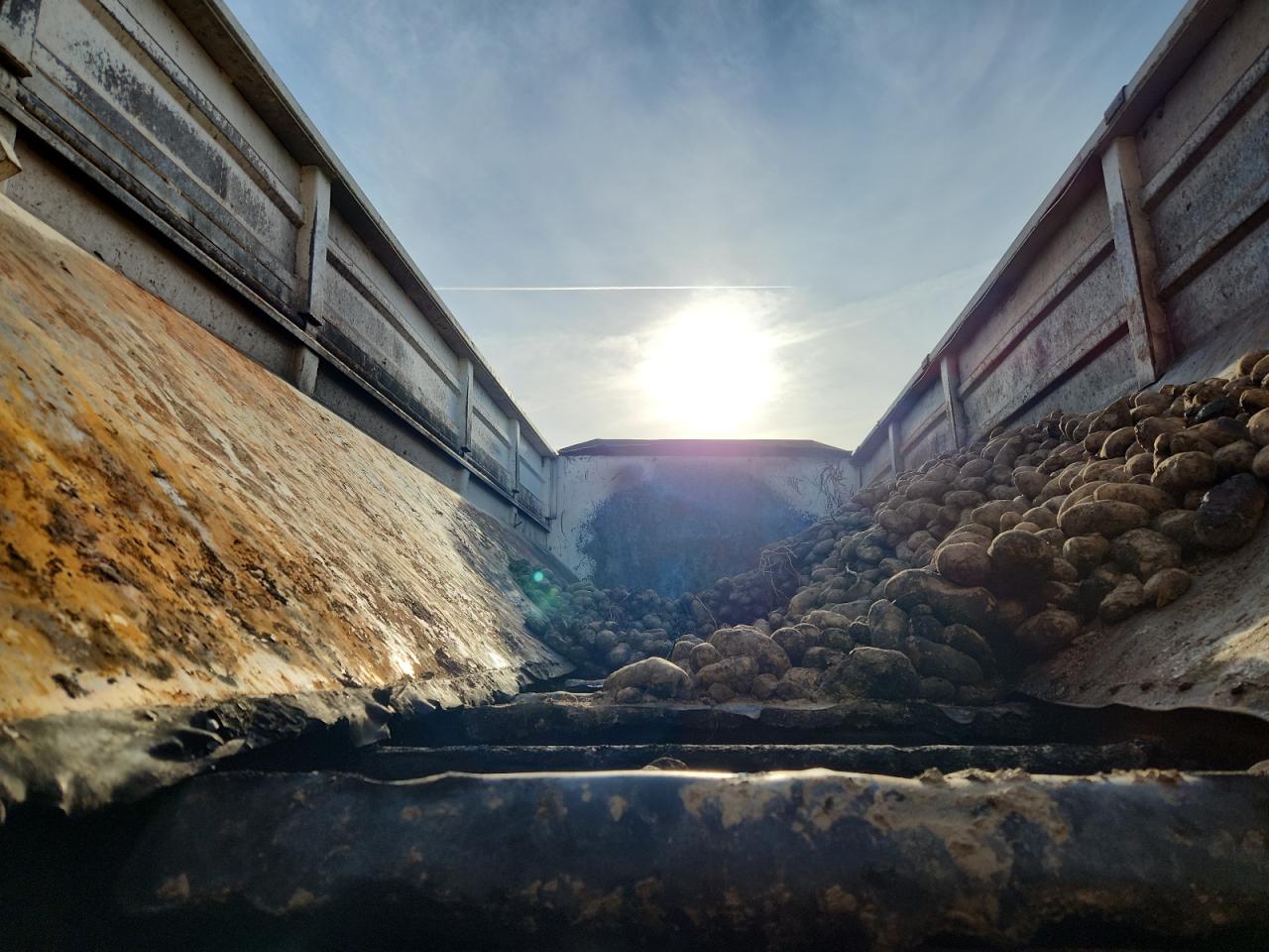 Lot #3282699288 1999 INTERNATIONAL 4000 4900