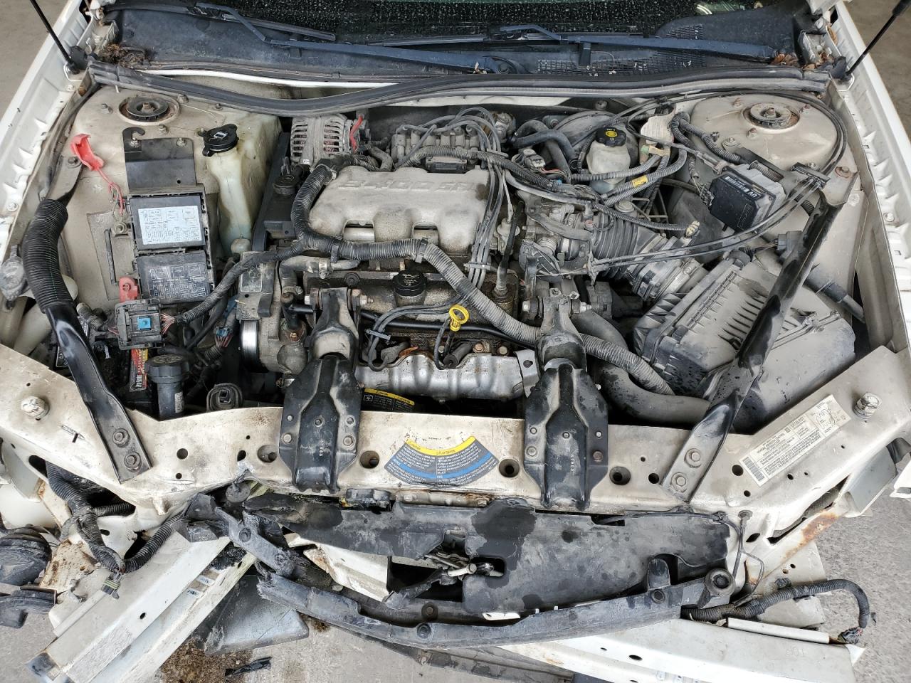 Lot #3291565928 2004 CHEVROLET IMPALA