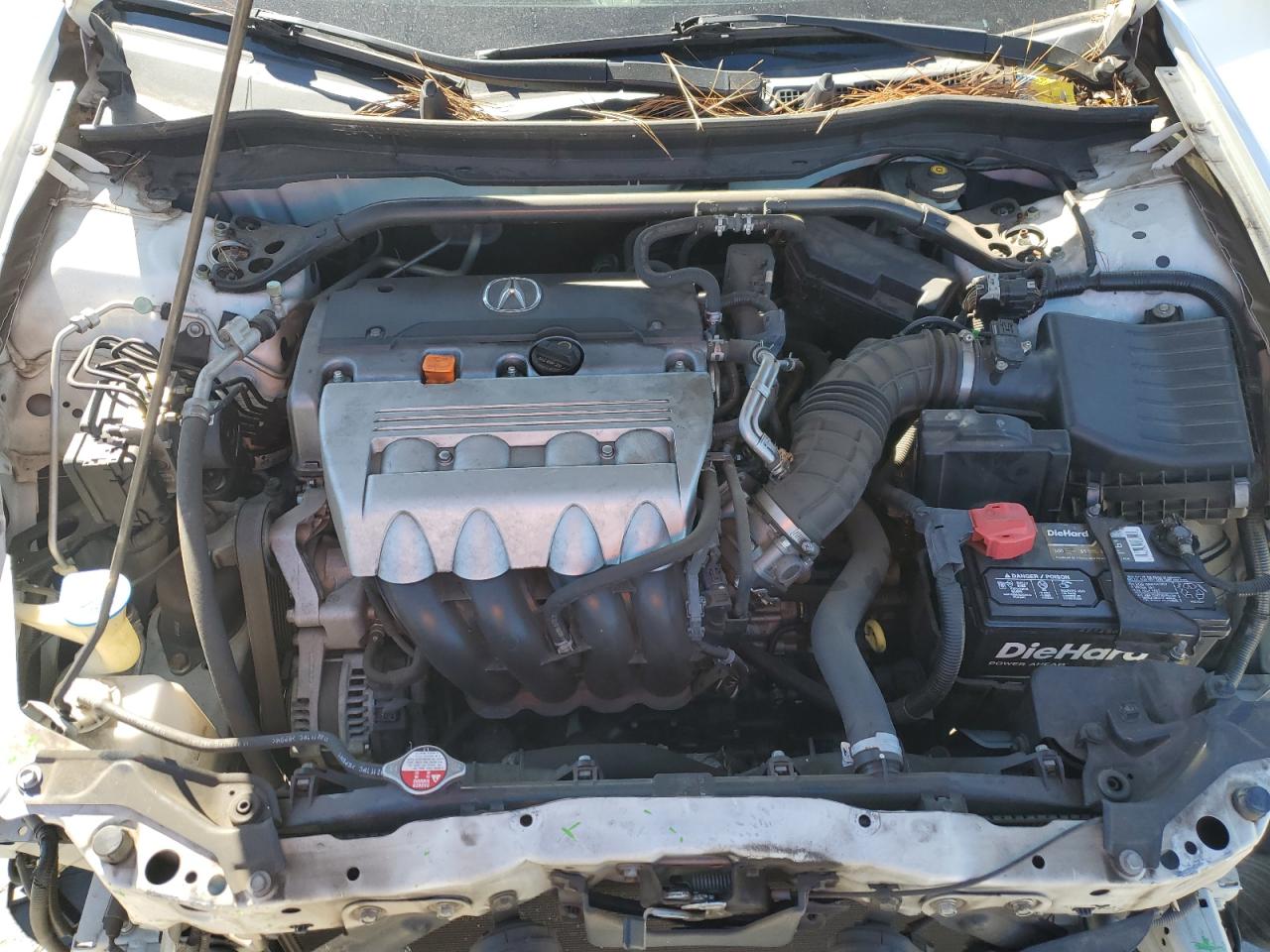 ACURA TSX TECH