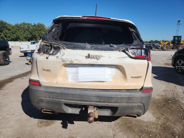 2019 JEEP CHEROKEE L - 1C4PJLCX0KD143340