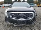 Lot #3304550443 2017 CADILLAC XTS
