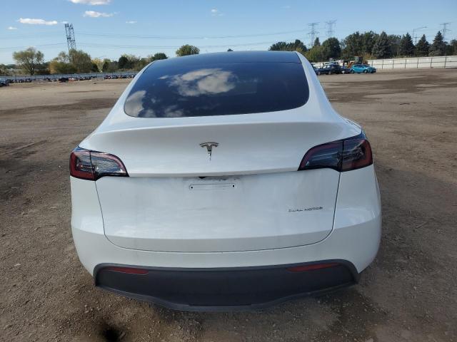 2024 TESLA MODEL Y #3282505886