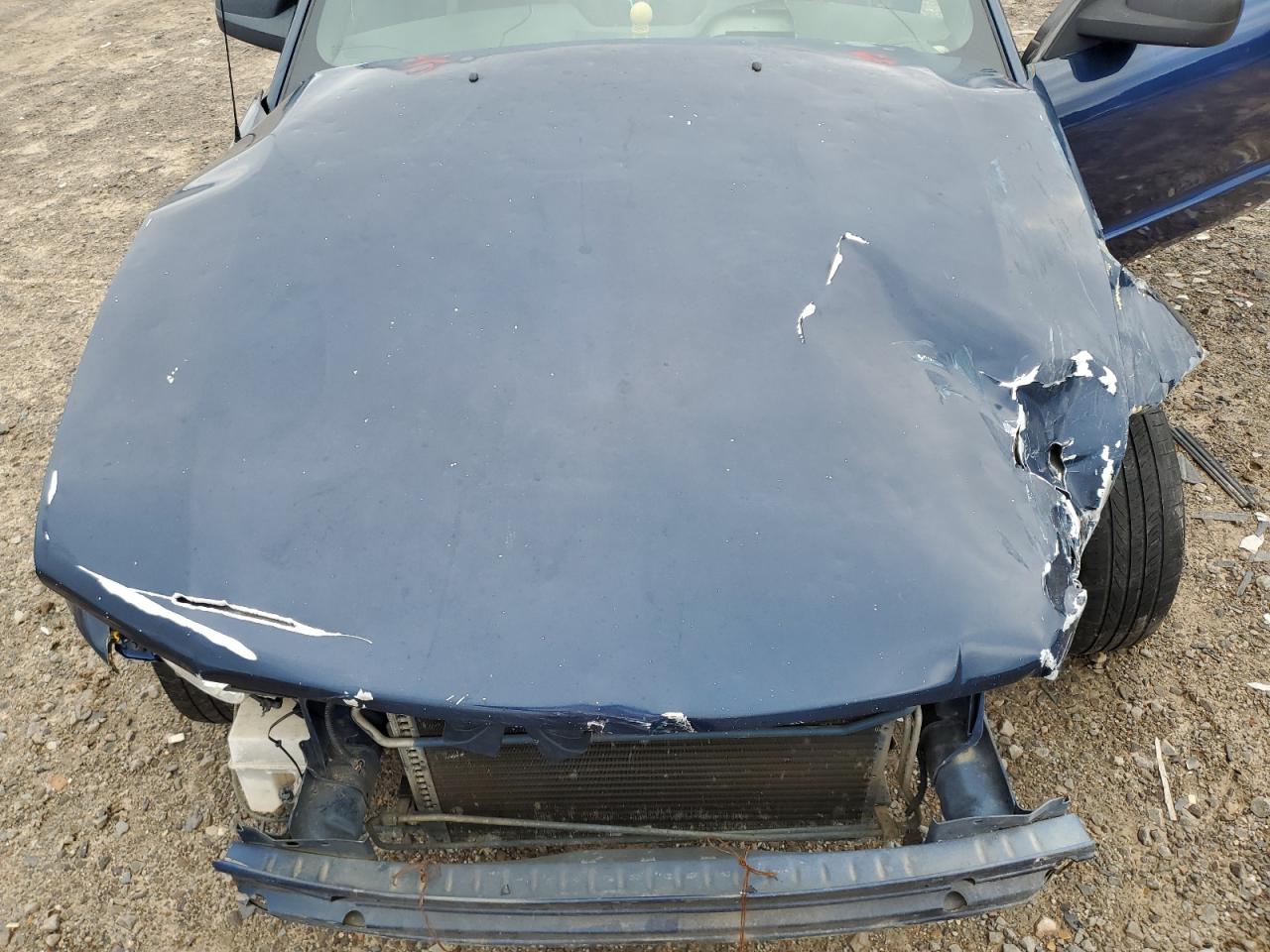 Lot #3296222412 2006 FORD MUSTANG