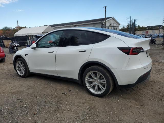 2021 TESLA MODEL Y - 5YJYGDEE7MF106303