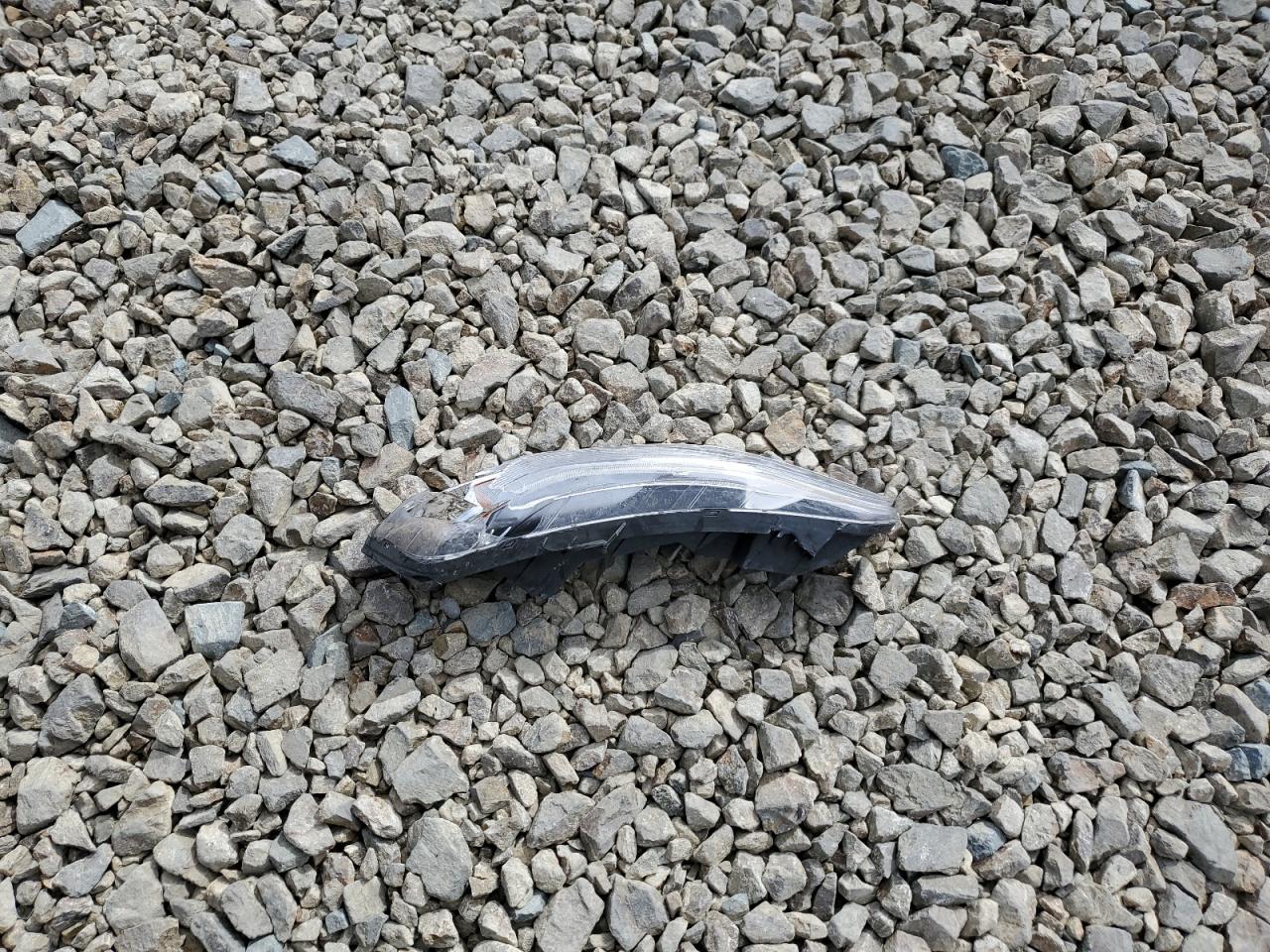 Lot #3309649963 2019 CHEVROLET MALIBU LS