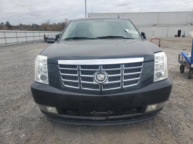 2010 CADILLAC ESCALADE P - 1GYUKCEF5AR240758