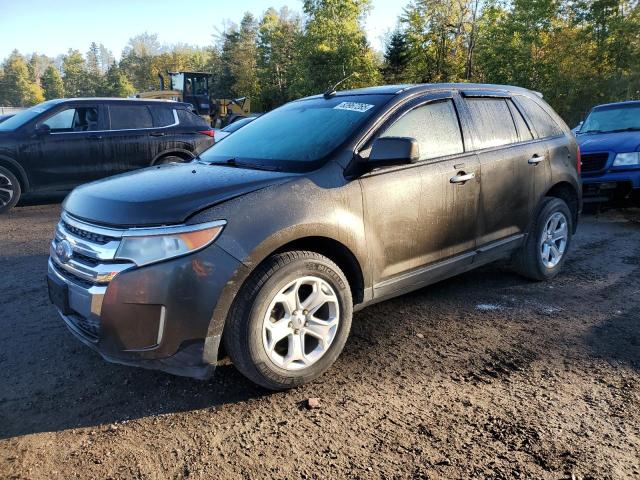 2011 FORD EDGE SEL - 2FMDK4JC1BBA48731