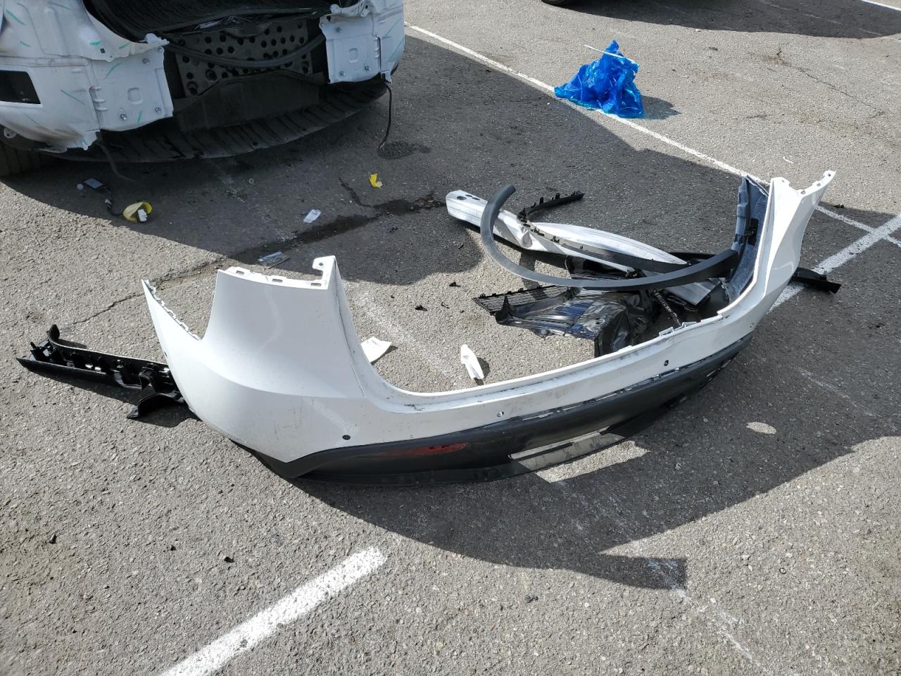 Lot #3308600502 2022 TESLA MODEL Y