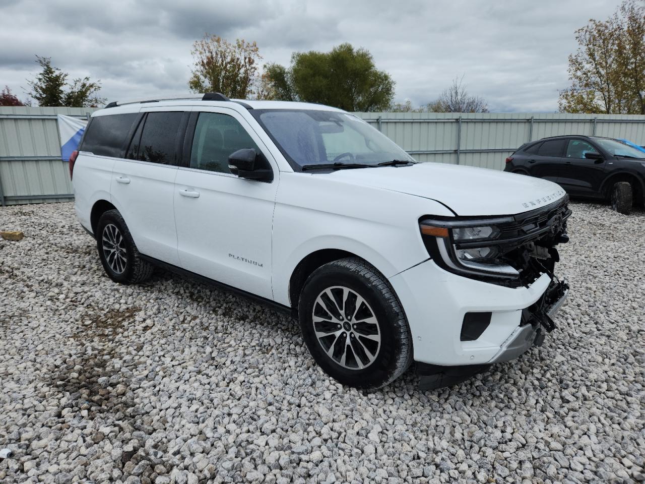 FORD EXPEDITION PLATINUM