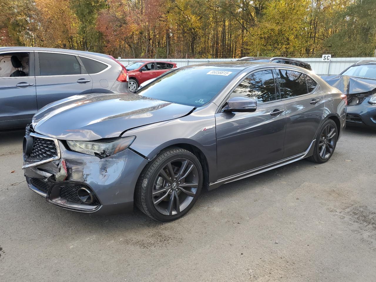 Lot #3304520437 2019 ACURA TLX TECHNO